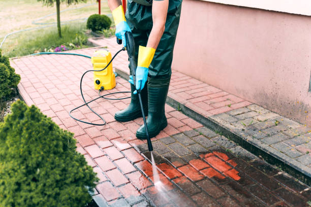 Best House Exterior Washing  in Elma Center, NY